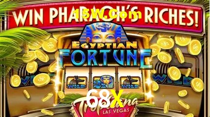 Experiência VIP 68X
